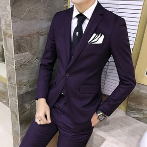 2pcs/set 2019 new fashion Korean style Slim Black Mens suit with pants High quality wedding suits for men dress Clothing men's